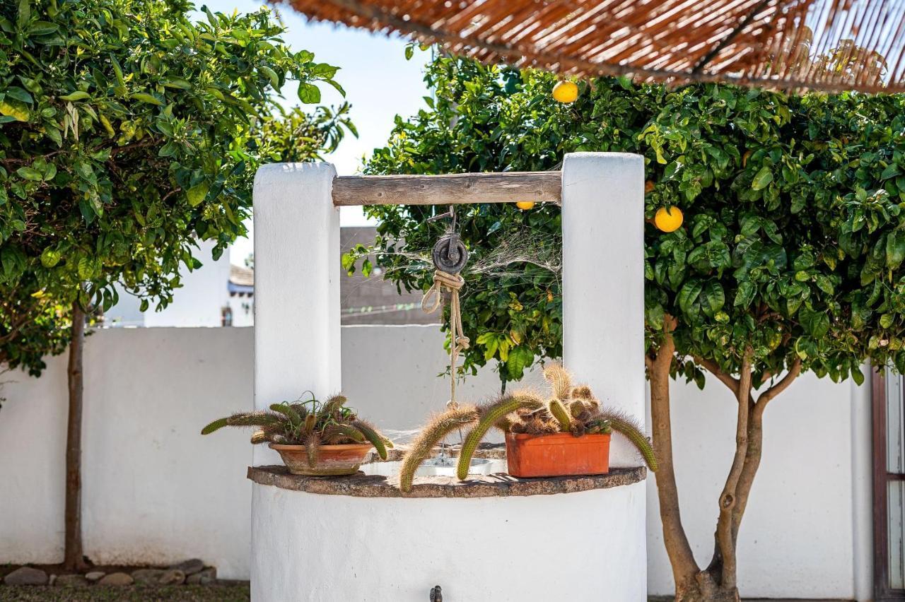 Cortijo Villa La Dehesa Conil De La Frontera Buitenkant foto